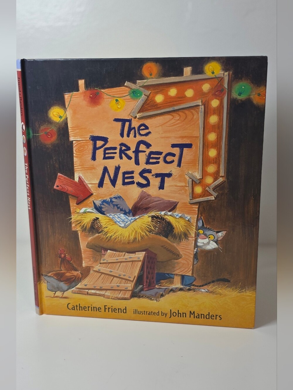 The Perfect Nest by Catherine Friend - Colorful Illustrated Hardcover